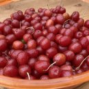 단이농장 이미지