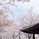 개성코다리 해물찜 이미지