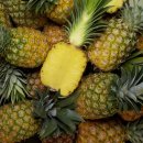 은수네농장 이미지