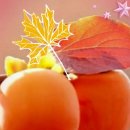 한강 산책 이미지