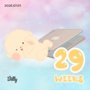 김밥나라(여주점) | 벌써 임신 후기라고요..?