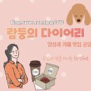 문수동그디 이미지