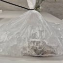 해수바다이야기 | 홍성 남당항 새조개축제 새조개 샤브샤브 맛집 새조개 택배 구매 솔직 후기 남당항푸른바다