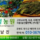 민정농장2 이미지