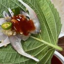 삼산초장