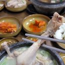 산사람 돌솥 삼계탕 티스토리