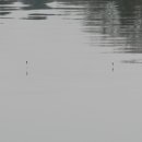 각평낚시터 이미지