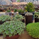 혜란농장 이미지