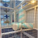 S3 키즈풀빌라 이미지