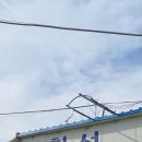 화창 주식회사