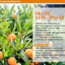 나영농장 이미지