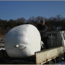 벼리농장 이미지