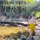 여름 부산 근교 아이랑 계곡 물놀이·물고기잡이 '장안사 계곡' 평일 주차장 화장실