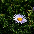 대산문화체육공원(야구장) 이미지