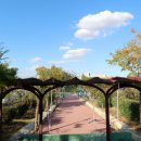 휘닉스파크관광단지 이미지