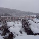 봉산초등학교 이미지