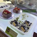 롯데백화점 앞 | 대전 괴정동 중식 맛집 동춘원 내돈내산 솔직 후기 (대전 롯데백화점 바로 앞)