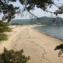 의항해수욕장 입구 이미지