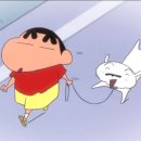 프레젠독(present dog) 이미지