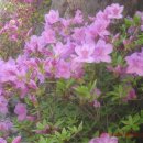 스카이힐골프센터 이미지