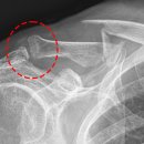 베스트병원 이미지