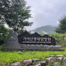 봉양로-1 이미지