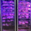 마방로10길 54-7 이미지