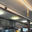 감자밭 | 서울 근교 당일치기 춘천여행 코스! 감자밭 카페 후기부터 닭갈비 맛집까지