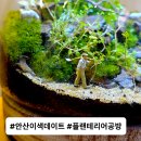 이끼창작스튜디오