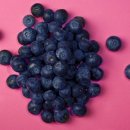 홍길동 농장 이미지