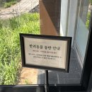 상록아파트산책로 | 천안 북면 데이트 장소 추천 부모님 모시고 오기 좋은 애견동반카페 인주 풍경점 후기