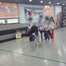 용인대 블랙벨트 태권도 이미지