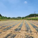 압해공인중개사사무소 이미지