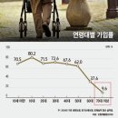 이진희정형외과 - 기흥구 흥덕택지개발지구 | 이진희정형외과