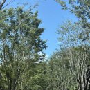 CJ헬스 | 여주 해슬리 나인브릿지 햄릿 6인 숙박 후기(CJ 사랑해요)