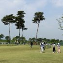 파크골프 입문 이미지