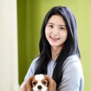 모카펫 이미지