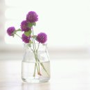 솔메이트 이미지