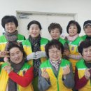 해솔 이미지