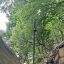 바우정원 이미지