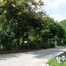 일영민박 이미지