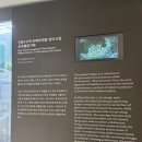 서우종합건축사사무소