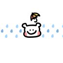 찌마켓