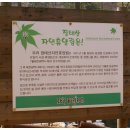 장태산의아침 이미지