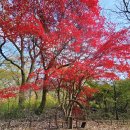 갑사주차장 공중화장실 이미지