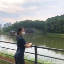 내 돈 내산] 단백질 보충제 추천-파시코 머슬킹