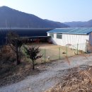 금곡송어장 이미지