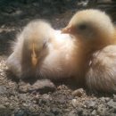 정종농장 이미지