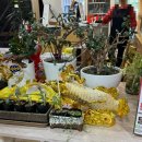 짜마 차이나 | 수원에서 저녁 먹을 곳 찾다가 우연히 발견한 짜마차이나 호매실본점