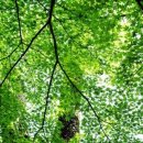 내가 더 이미지